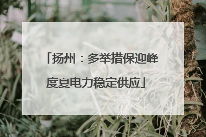 扬州：多举措保迎峰度夏电力稳定供应
