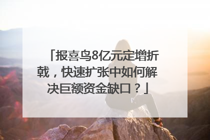 报喜鸟8亿元定增折戟，快速扩张中如何解决巨额资金缺口？
