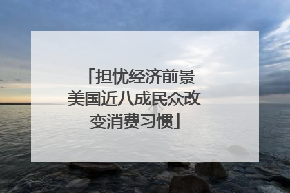 担忧经济前景 美国近八成民众改变消费习惯