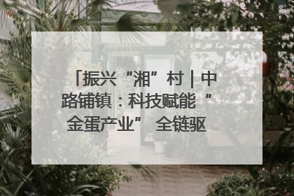 振兴“湘”村｜中路铺镇：科技赋能“金蛋产业” 全链驱动乡村振兴