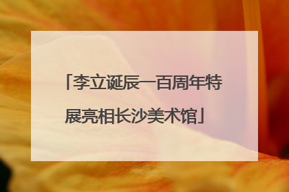 李立诞辰一百周年特展亮相长沙美术馆
