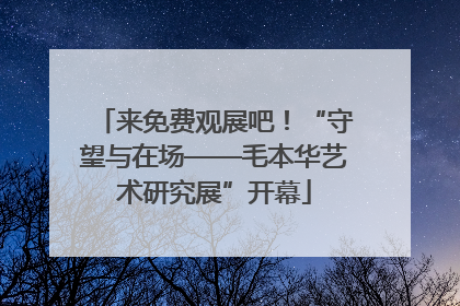 来免费观展吧！“守望与在场——毛本华艺术研究展”开幕