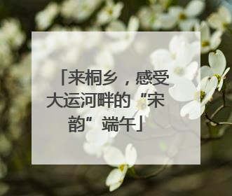 来桐乡，感受大运河畔的“宋韵”端午