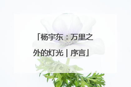 杨宇东：万里之外的灯光｜序言