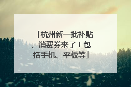 杭州新一批补贴、消费券来了！包括手机、平板等