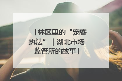 林区里的“宠客执法”｜湖北市场监管所的故事