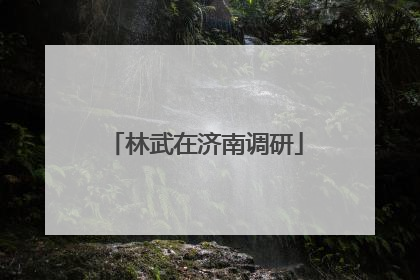 林武在济南调研