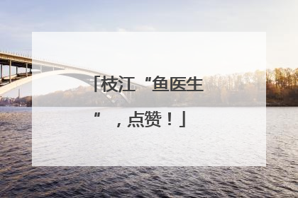 枝江“鱼医生”，点赞！