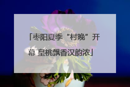 枣阳夏季“村晚”开幕 皇桃飘香汉韵浓
