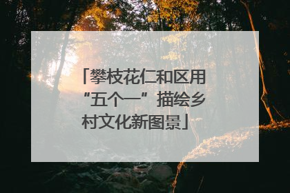 攀枝花仁和区用“五个一”描绘乡村文化新图景