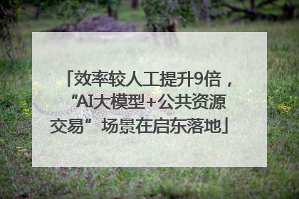 效率较人工提升9倍，“AI大模型+公共资源交易”场景在启东落地