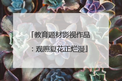 教育题材影视作品：观照夏花正烂漫