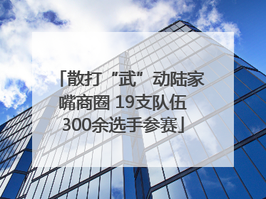 散打“武”动陆家嘴商圈 19支队伍300余选手参赛