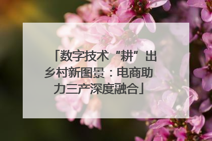 数字技术“耕”出乡村新图景：电商助力三产深度融合