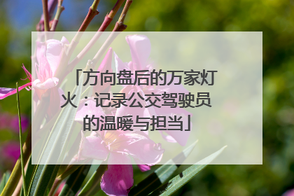 方向盘后的万家灯火：记录公交驾驶员的温暖与担当