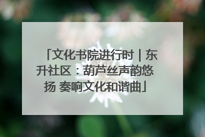 文化书院进行时｜东升社区：葫芦丝声韵悠扬 奏响文化和谐曲