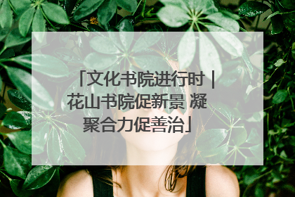 文化书院进行时｜花山书院促新景 凝聚合力促善治
