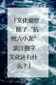 文化观察：除了“杭州六小龙” 浙江数字文化还有什么？
