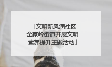 文明新风润社区 金家岭街道开展文明素养提升主题活动