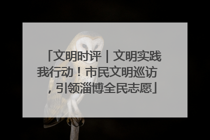 文明时评｜文明实践我行动！市民文明巡访，引领淄博全民志愿