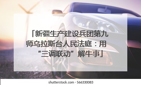 新疆生产建设兵团第九师乌拉斯台人民法庭：用“三调联动”解牛事