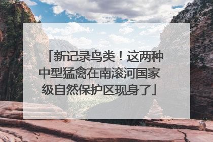 新记录鸟类！这两种中型猛禽在南滚河国家级自然保护区现身了