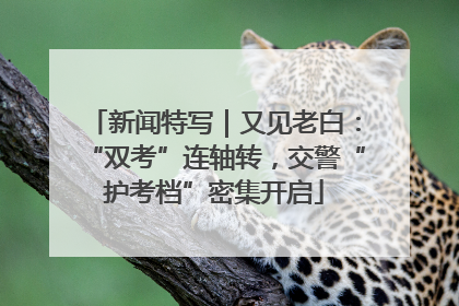 新闻特写｜又见老白：“双考”连轴转，交警“护考档”密集开启