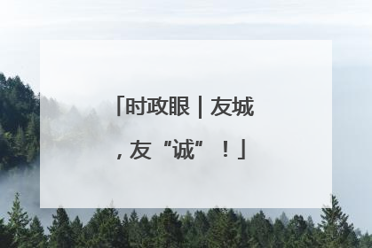 时政眼｜友城，友“诚”！