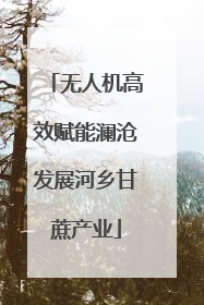 无人机高效赋能澜沧发展河乡甘蔗产业