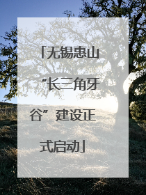无锡惠山“长三角牙谷”建设正式启动