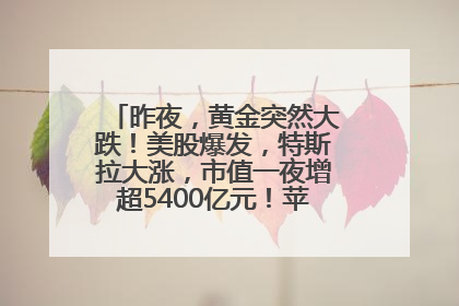 昨夜，黄金突然大跌！美股爆发，特斯拉大涨，市值一夜增超5400亿元！苹果传来大消息