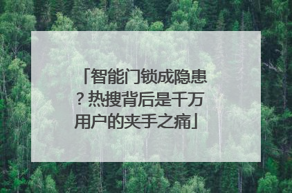 智能门锁成隐患？热搜背后是千万用户的夹手之痛