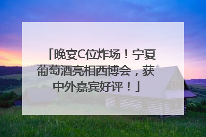 晚宴C位炸场！宁夏葡萄酒亮相西博会，获中外嘉宾好评！