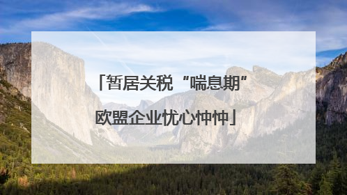 暂居关税“喘息期” 欧盟企业忧心忡忡