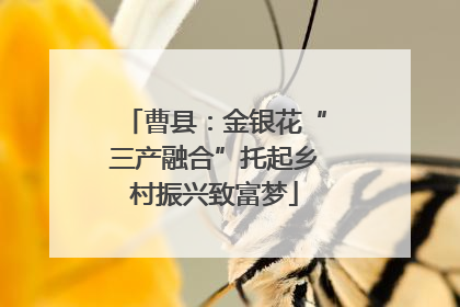 曹县：金银花“三产融合”托起乡村振兴致富梦