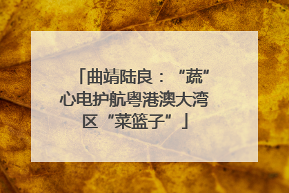 曲靖陆良：“蔬”心电护航粤港澳大湾区“菜篮子”