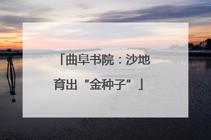 曲阜书院：沙地育出“金种子”