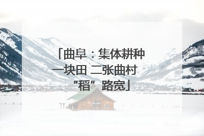 曲阜：集体耕种一块田 二张曲村“稻”路宽