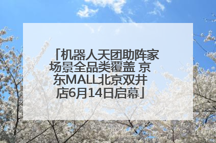 机器人天团助阵家场景全品类覆盖 京东MALL北京双井店6月14日启幕