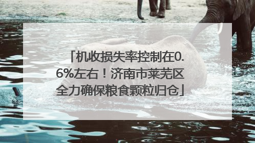 机收损失率控制在0.6%左右！济南市莱芜区全力确保粮食颗粒归仓