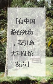 有中国游客死伤，我驻意大利使馆发声
