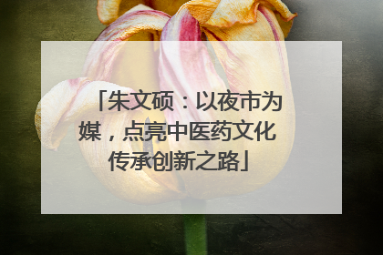 朱文硕：以夜市为媒，点亮中医药文化传承创新之路