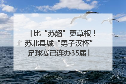 比“苏超”更草根！苏北县城“男子汉杯”足球赛已连办35届