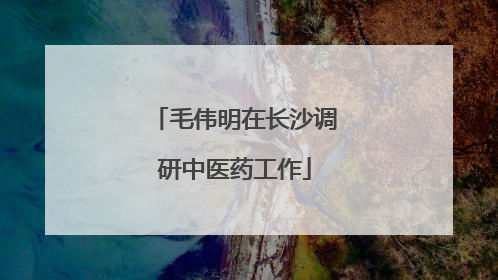 毛伟明在长沙调研中医药工作
