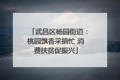 武昌区杨园街道：桃园飘香采摘忙 消费扶贫促振兴