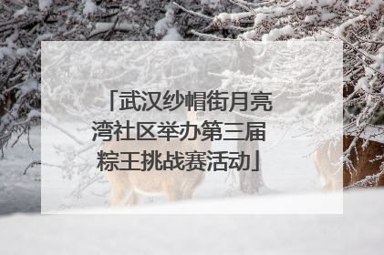 武汉纱帽街月亮湾社区举办第三届粽王挑战赛活动