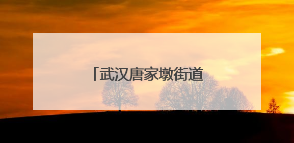 武汉唐家墩街道开展“三大精神”沉浸式宣讲活动
