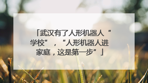 武汉有了人形机器人“学校”，“人形机器人进家庭，这是第一步”