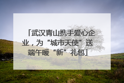 武汉青山携手爱心企业，为“城市天使”送端午暖“新”礼包