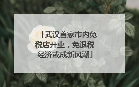武汉首家市内免税店开业，免退税经济或成新风潮